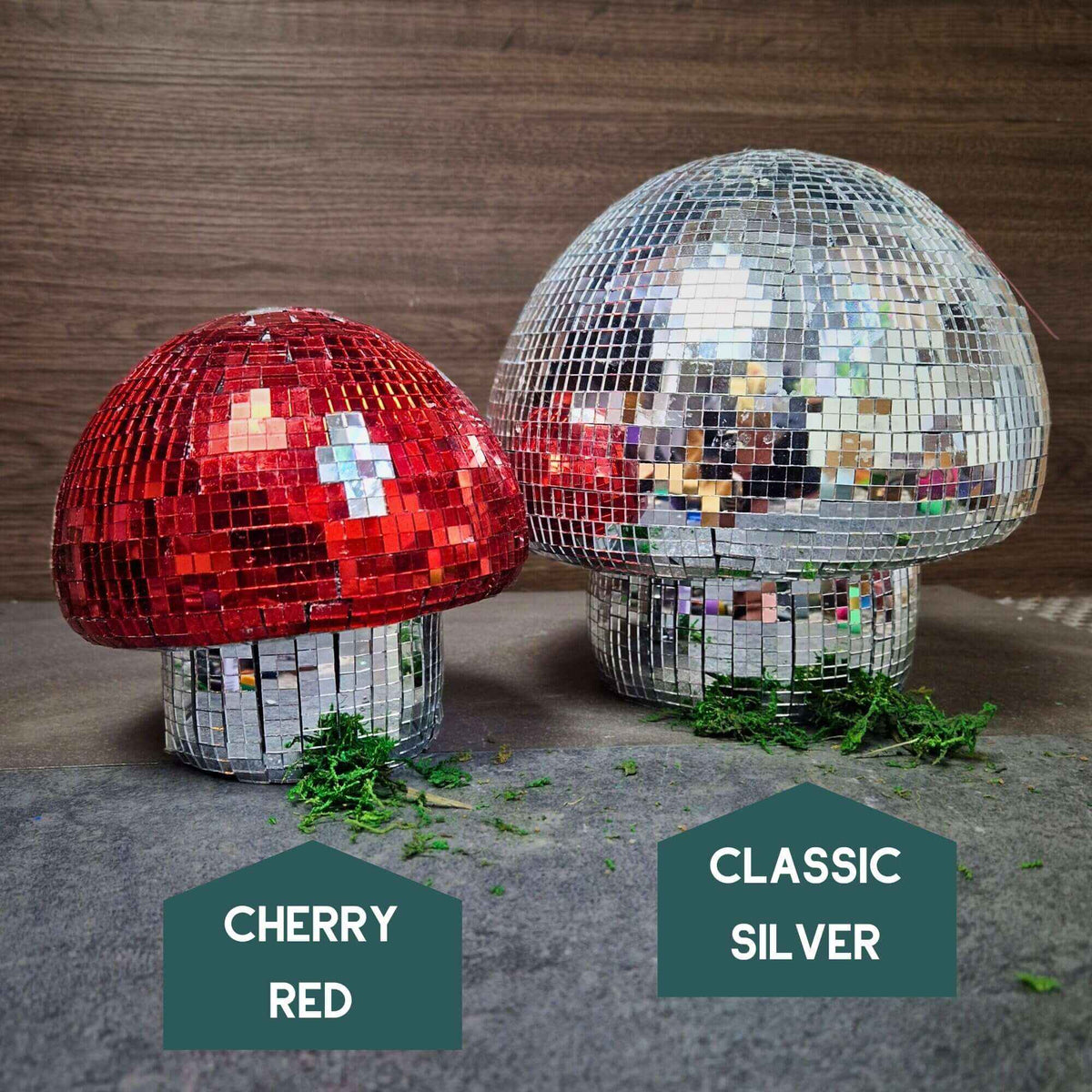 Groovy Disco Mushroom base and underside detail