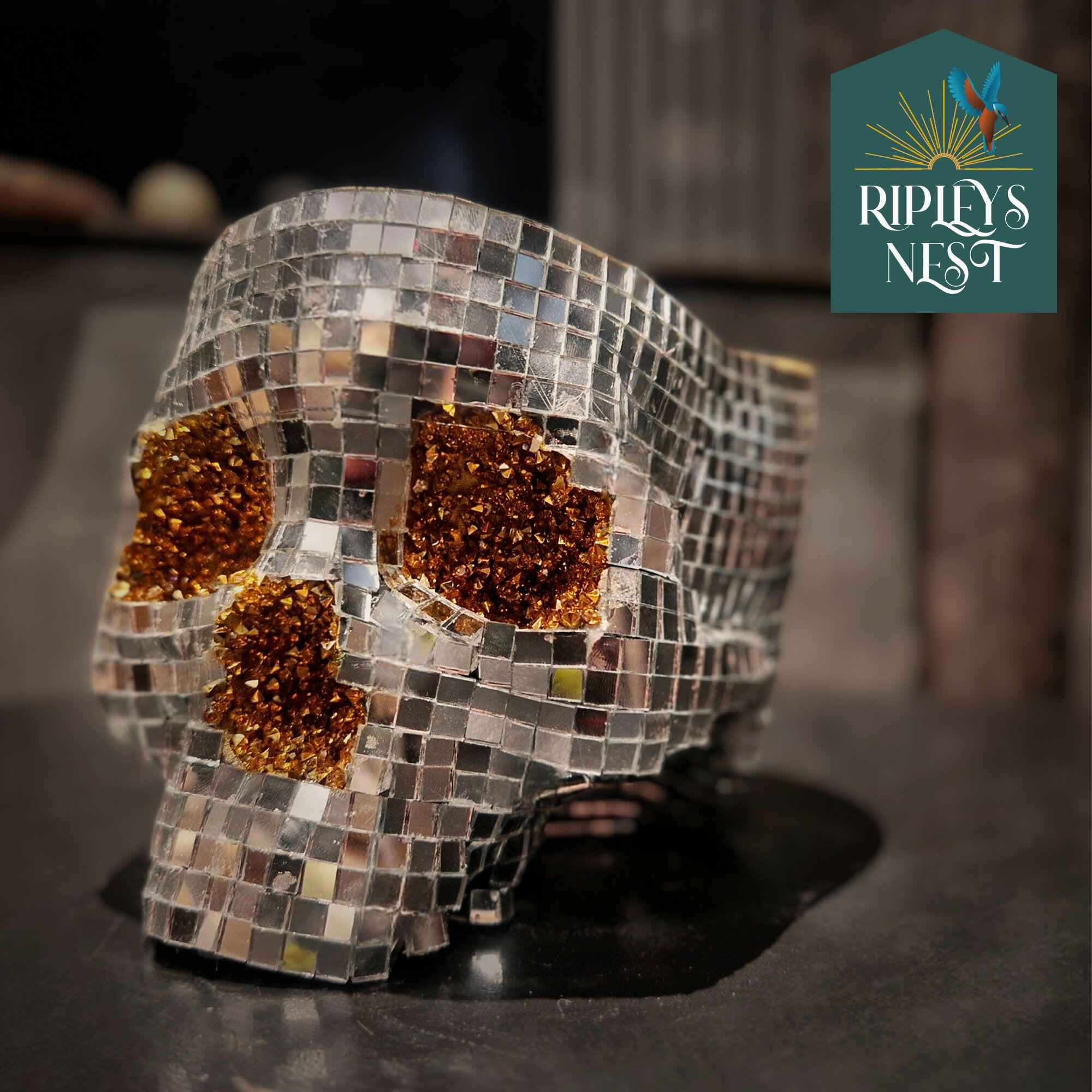 Silver Skull Mirror Planter