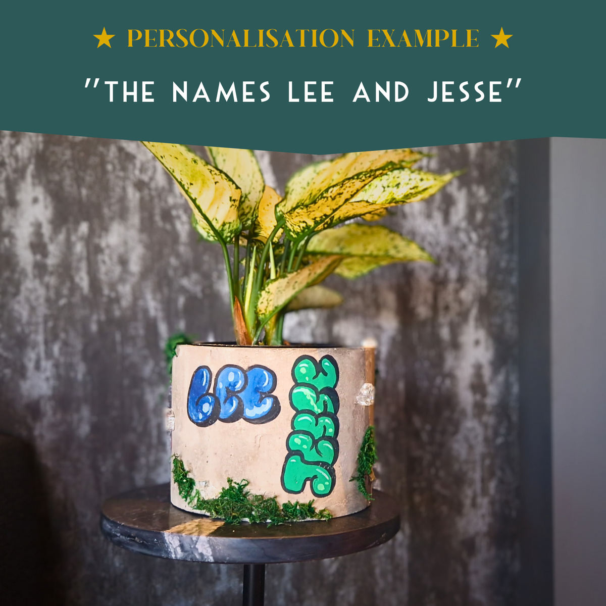 Urban Canvas Planter natural light colour reference