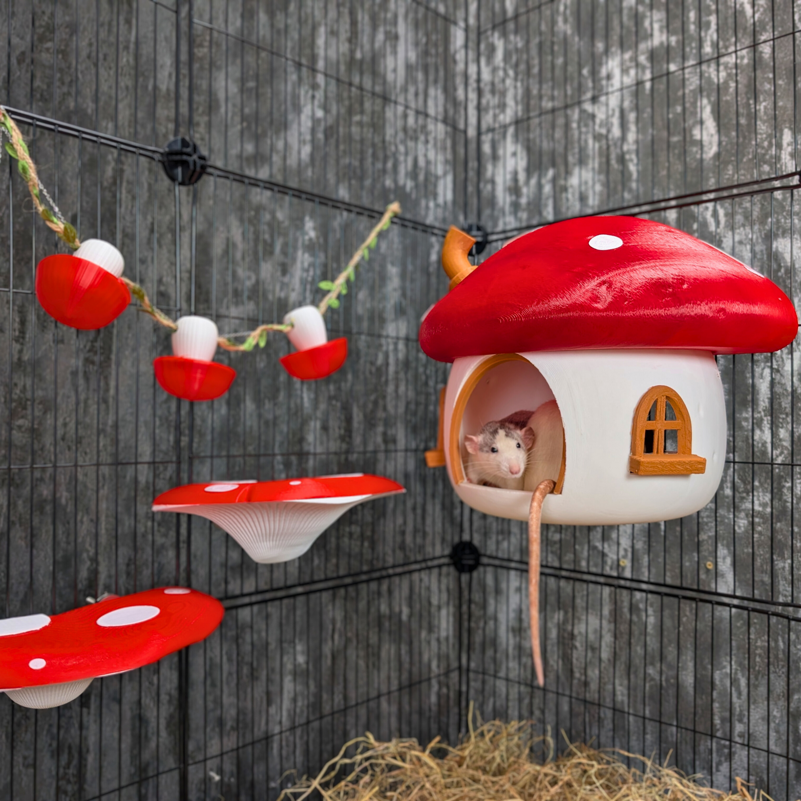 Fairy Mushroom Rat Hide - handcrafted by Ripleys Nest