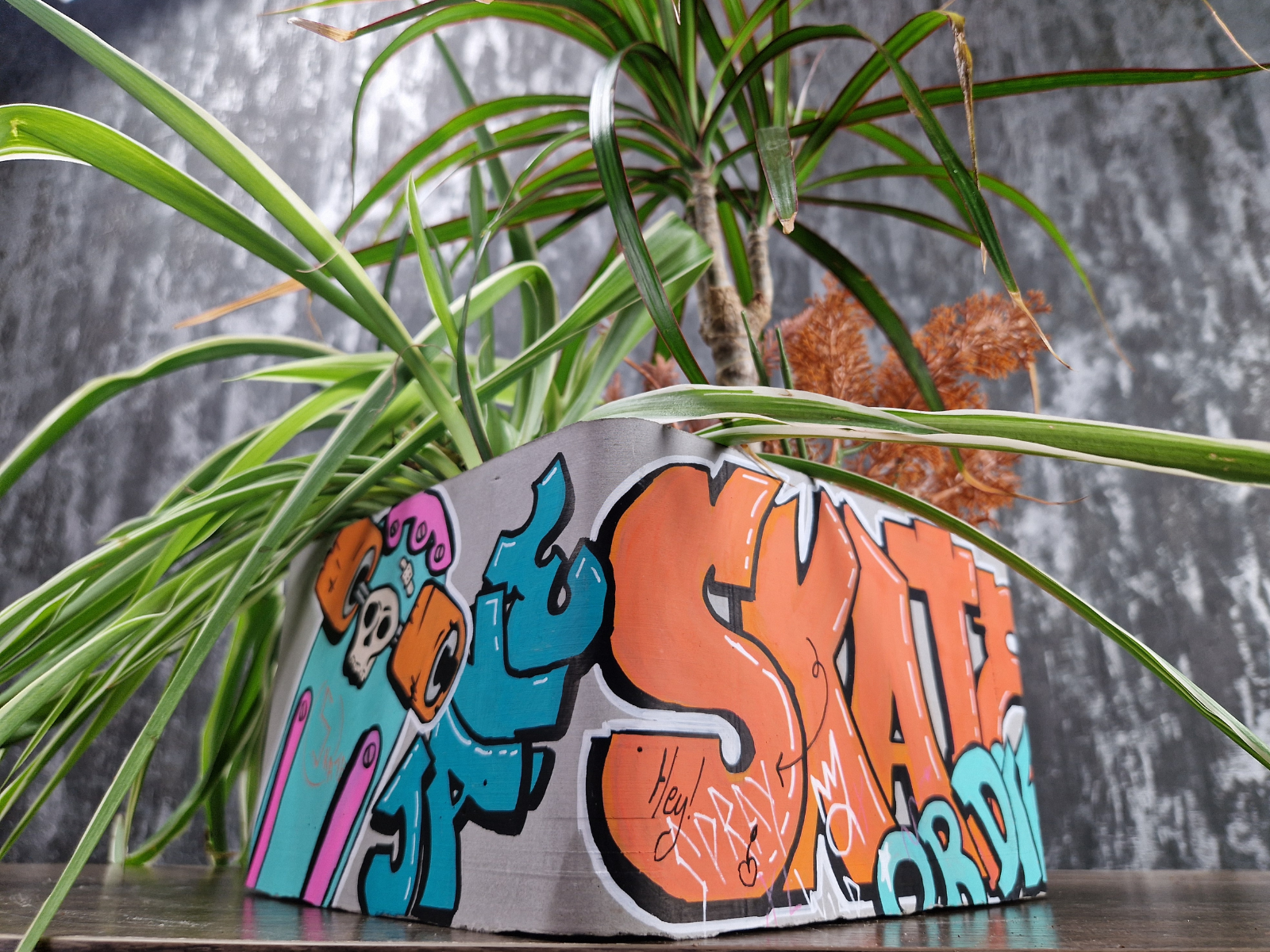 Handmade graffiti fingerboard ramp planter with colourful street art design and spider plant