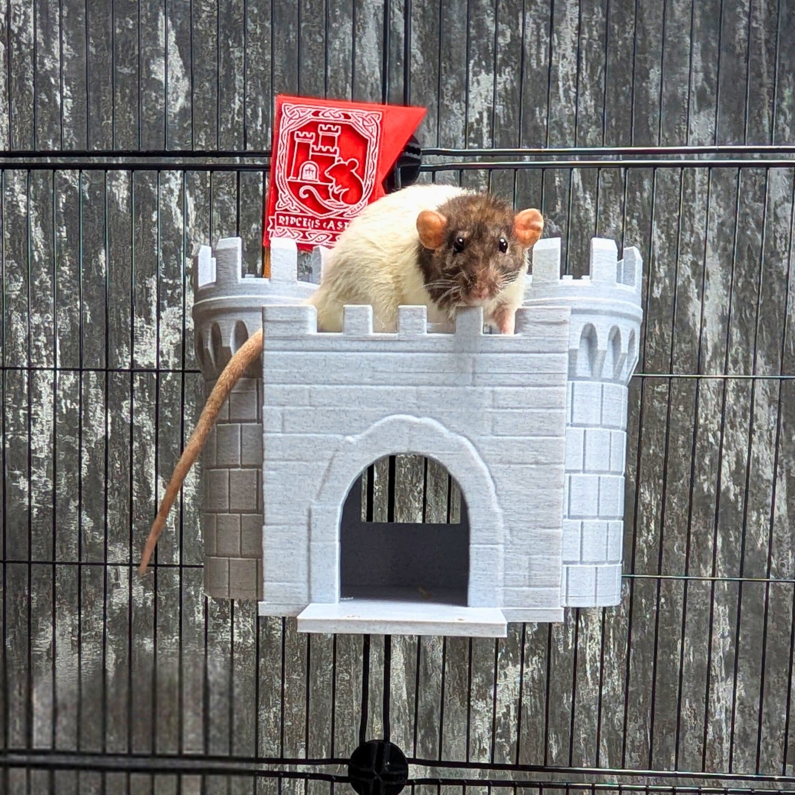 houses-cabins - Castle Rat Hide