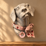 Custom pet wall bust displaying a collar; collar and tag are not included