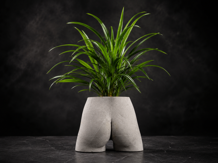 Cheeky Bum cast stone planter with green houseplant on dark studio backdrop