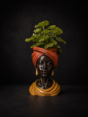 Golden Hour cast stone head planter with green plant on moody black background