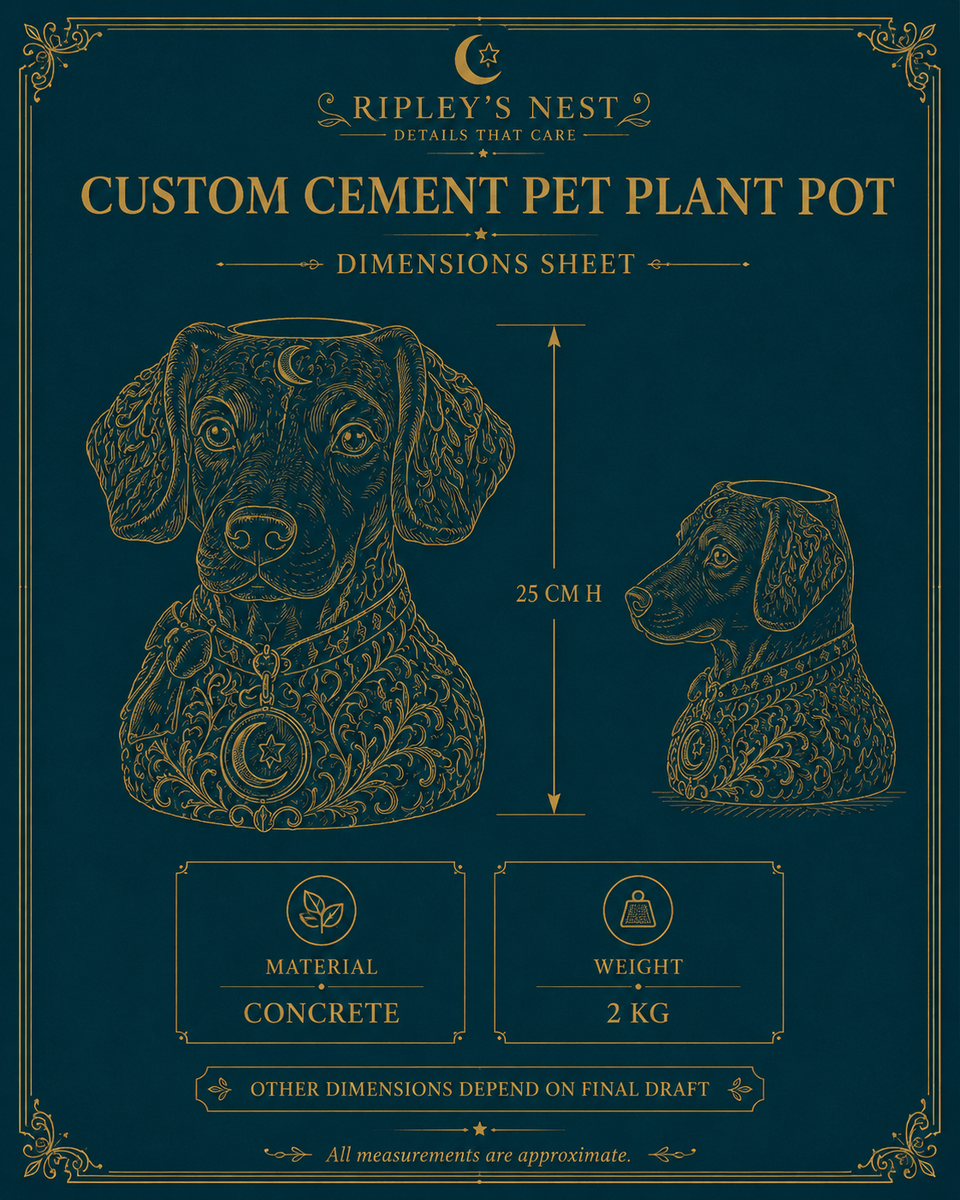 The Moon Familiar planter dimensions sheet showing 25 cm height and 2 kg weight