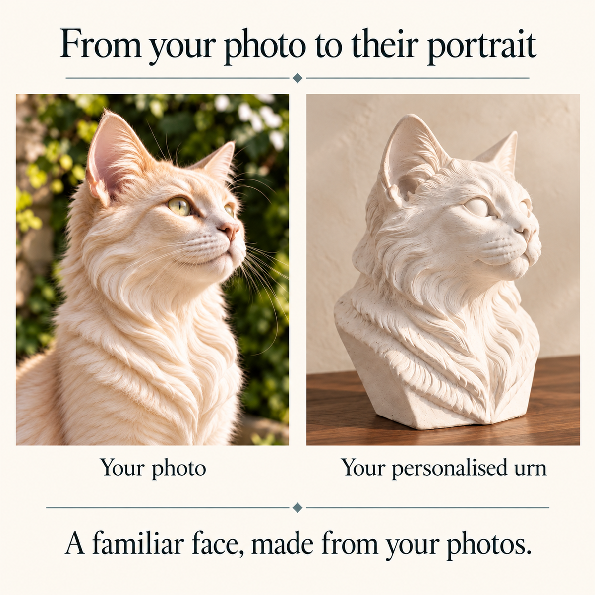 Comparison of supplied cat photo and its matching chalk off-white portrait urn