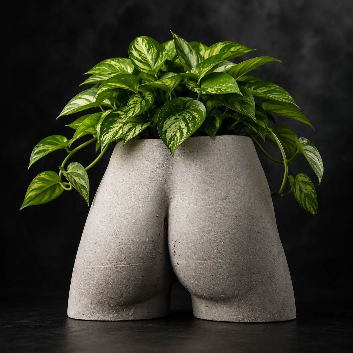 Close front view of Cheeky Bum cast stone planter with trailing houseplant