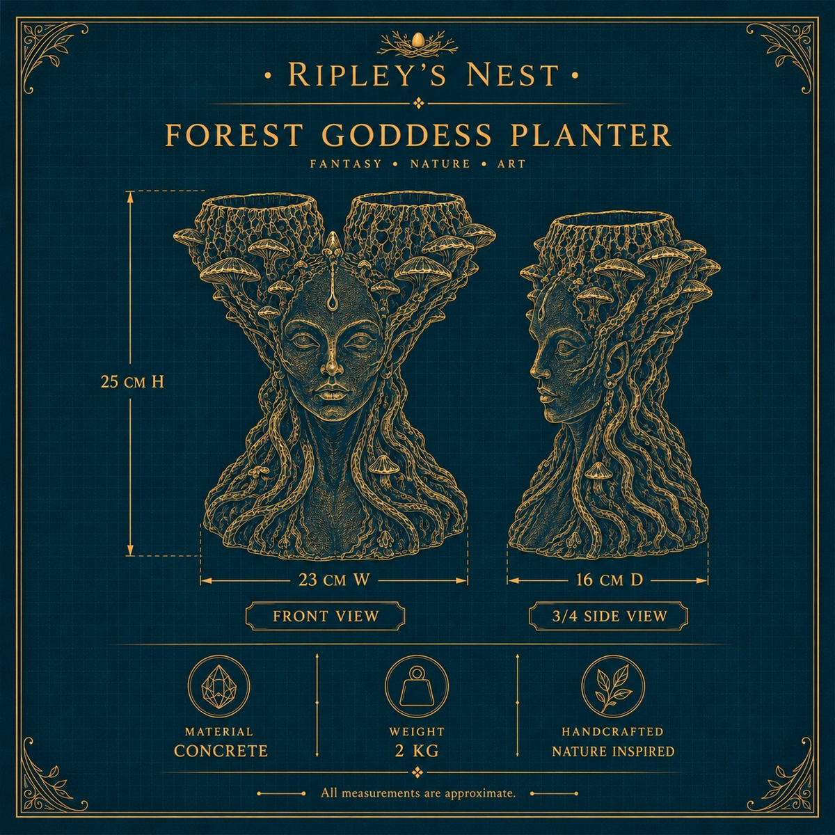 Mycelia planter dimensions card showing 25 cm height, 23 cm width, 16 cm depth and 2 kg weight