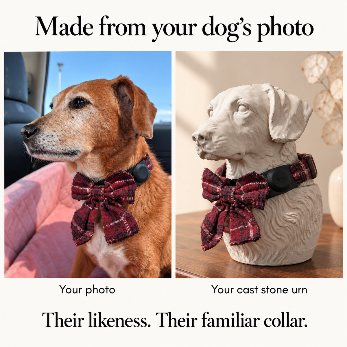 Comparison of a dog reference photo and its cast stone portrait urn wearing the same collar.