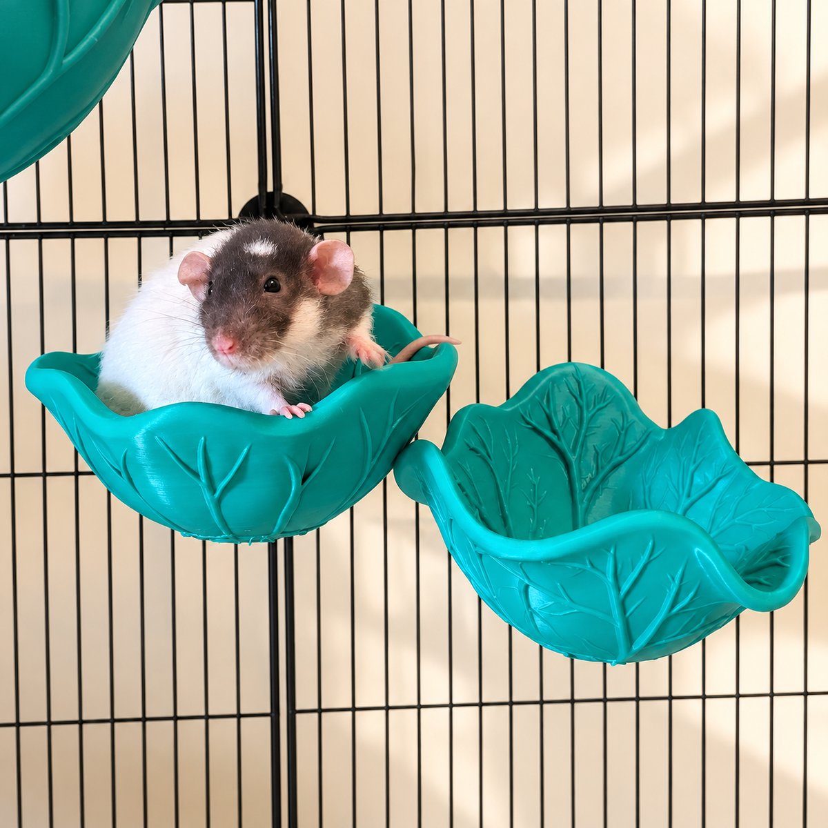 Grey and white rat sitting on one of two teal-green leaf shelves mounted inside a cage.