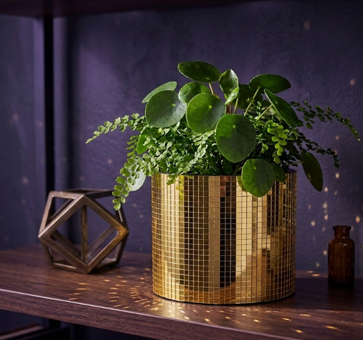Disco Ball Plant Pot - Add Sparkle to Your Greenery - close-up detail | Ripleys Nest