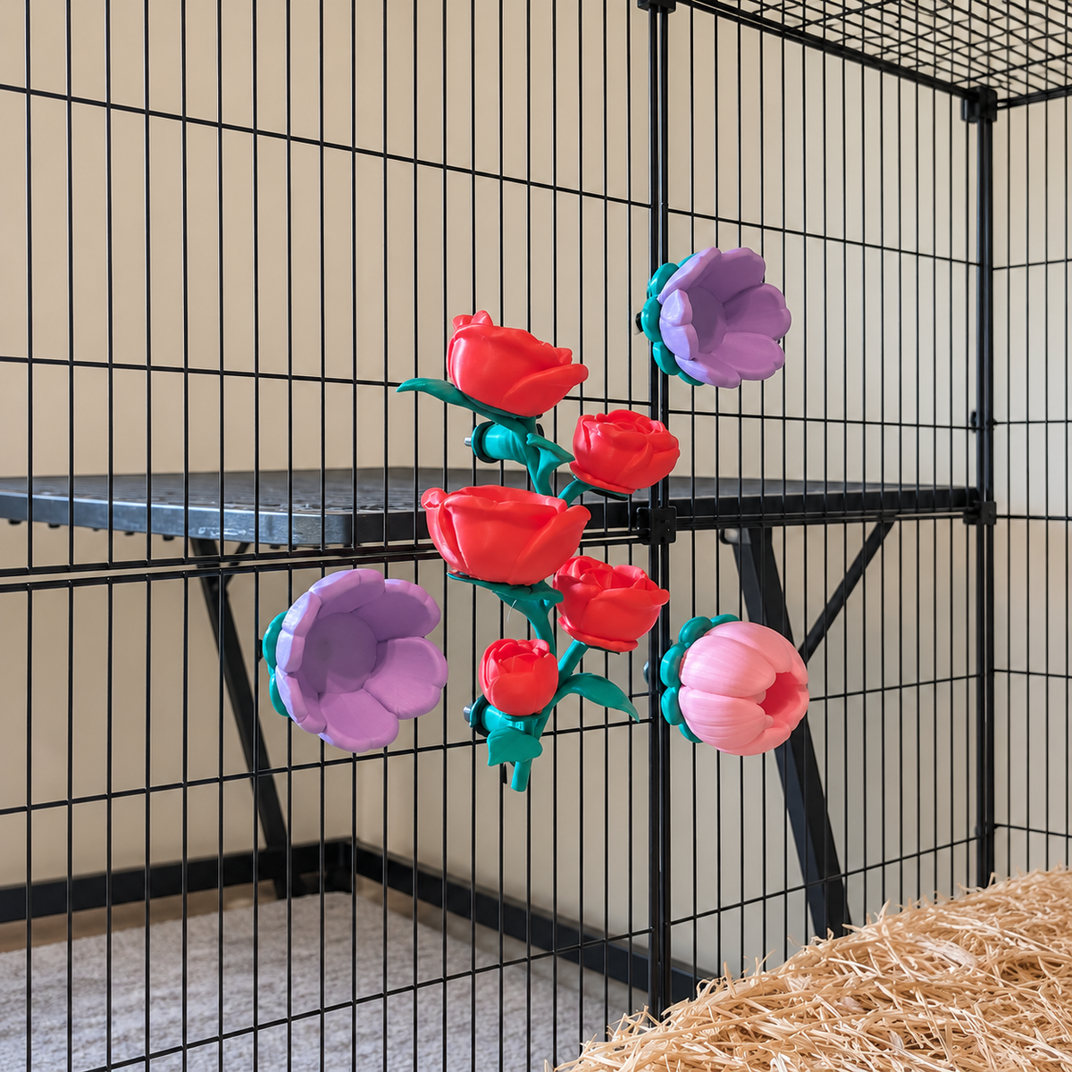 Wider cage view showing the mounted rose vine and three flower cups