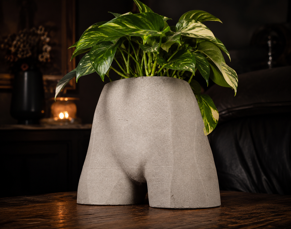 Front lifestyle view of Cheeky Bum cast stone planter with green houseplant