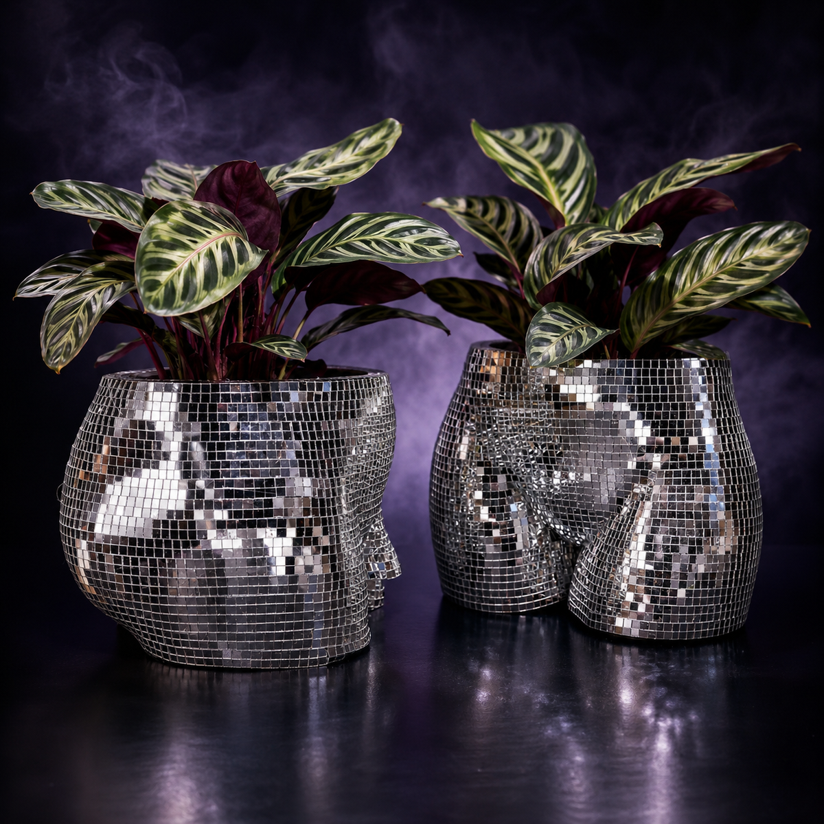 Male and female silver mirror body planters with patterned houseplants