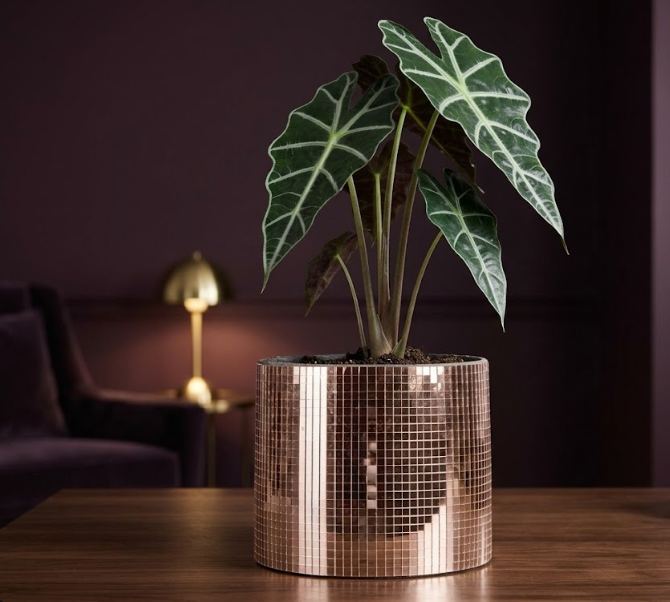 Disco Ball Plant Pot - Add Sparkle to Your Greenery - scale view | Ripleys Nest