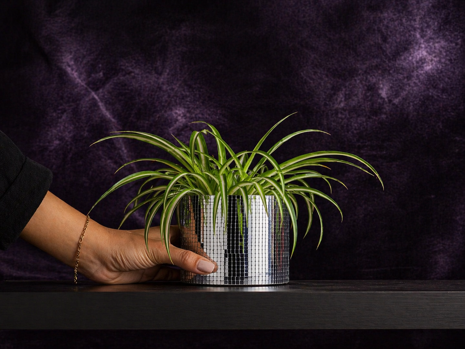 Disco Ball Plant Pot - Add Sparkle to Your Greenery - lifestyle photo | Ripleys Nest