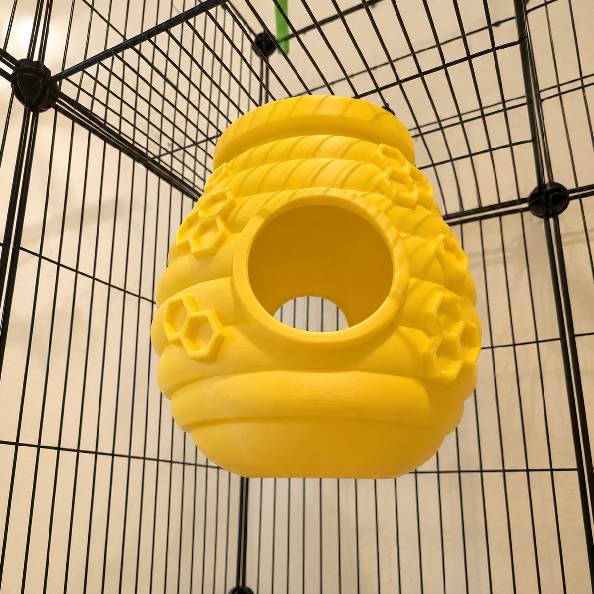 Low-angle view into the empty yellow hive, with its rear opening visible through the front entrance.