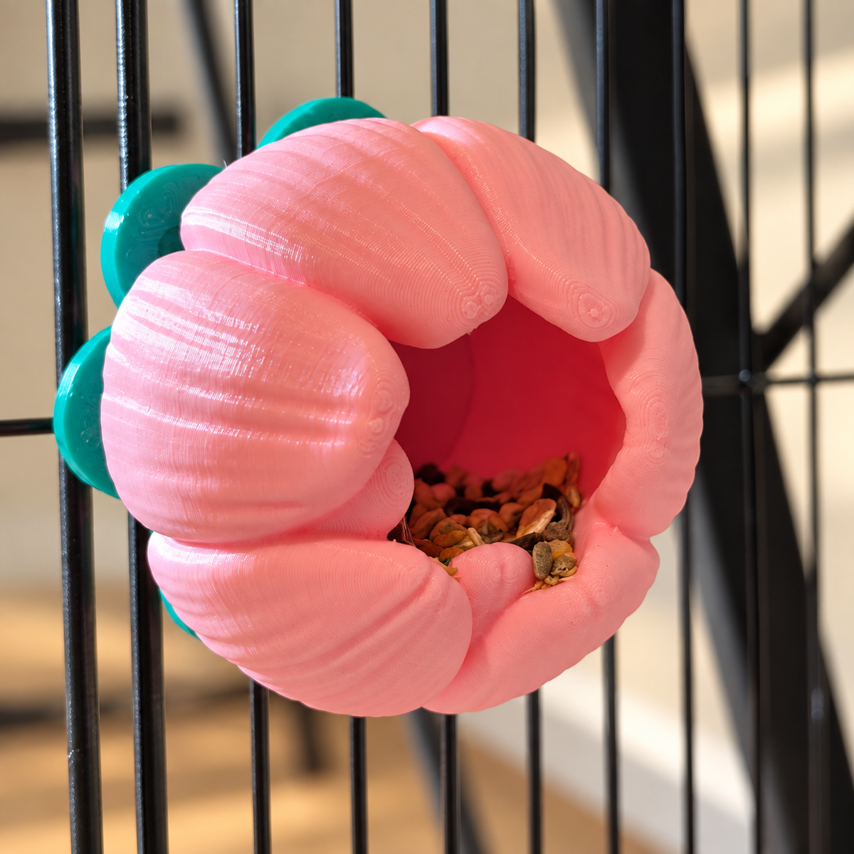 Front close-up of the pink flower cup with a little forage visible