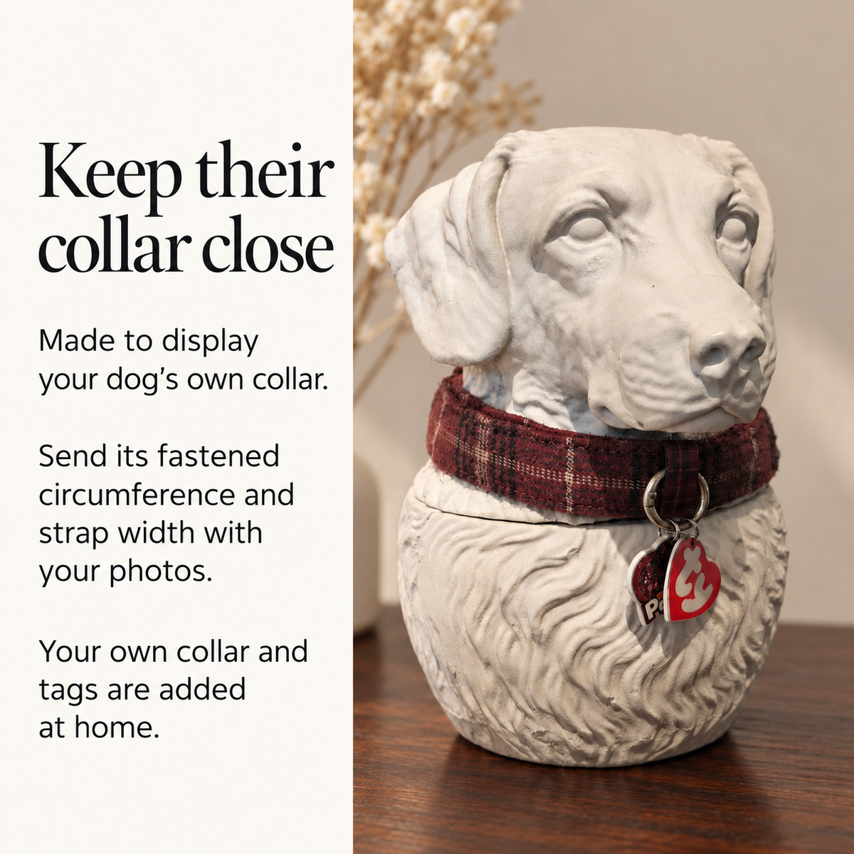 Collar display information beside a white dog urn wearing a tartan collar and tags.