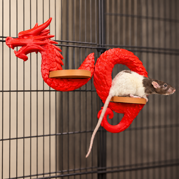Dragon rat shelves