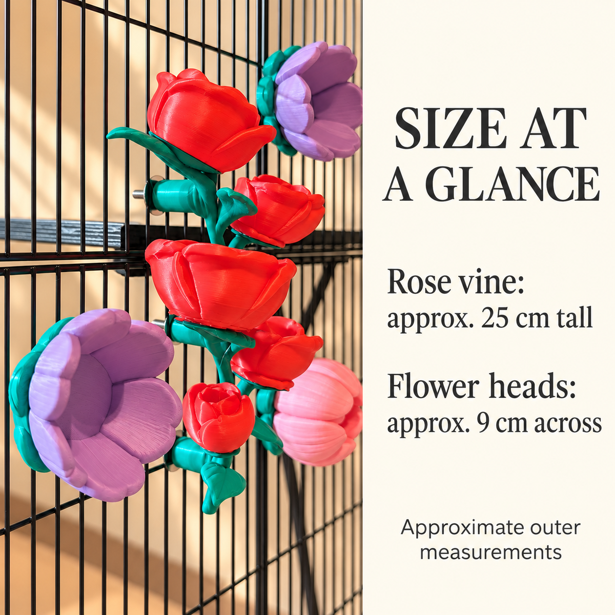 Approximate size diagram showing the rose vine about 25 centimetres tall and flower heads about 9 centimetres across