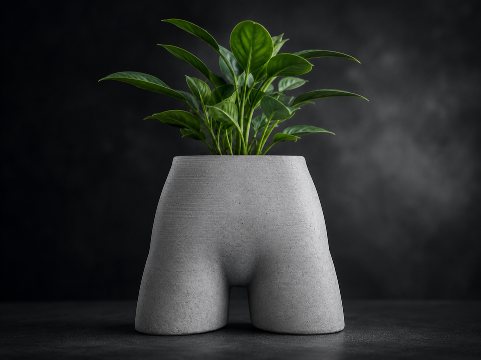 Front view of Cheeky Bum cast stone planter with plant on dark backdrop