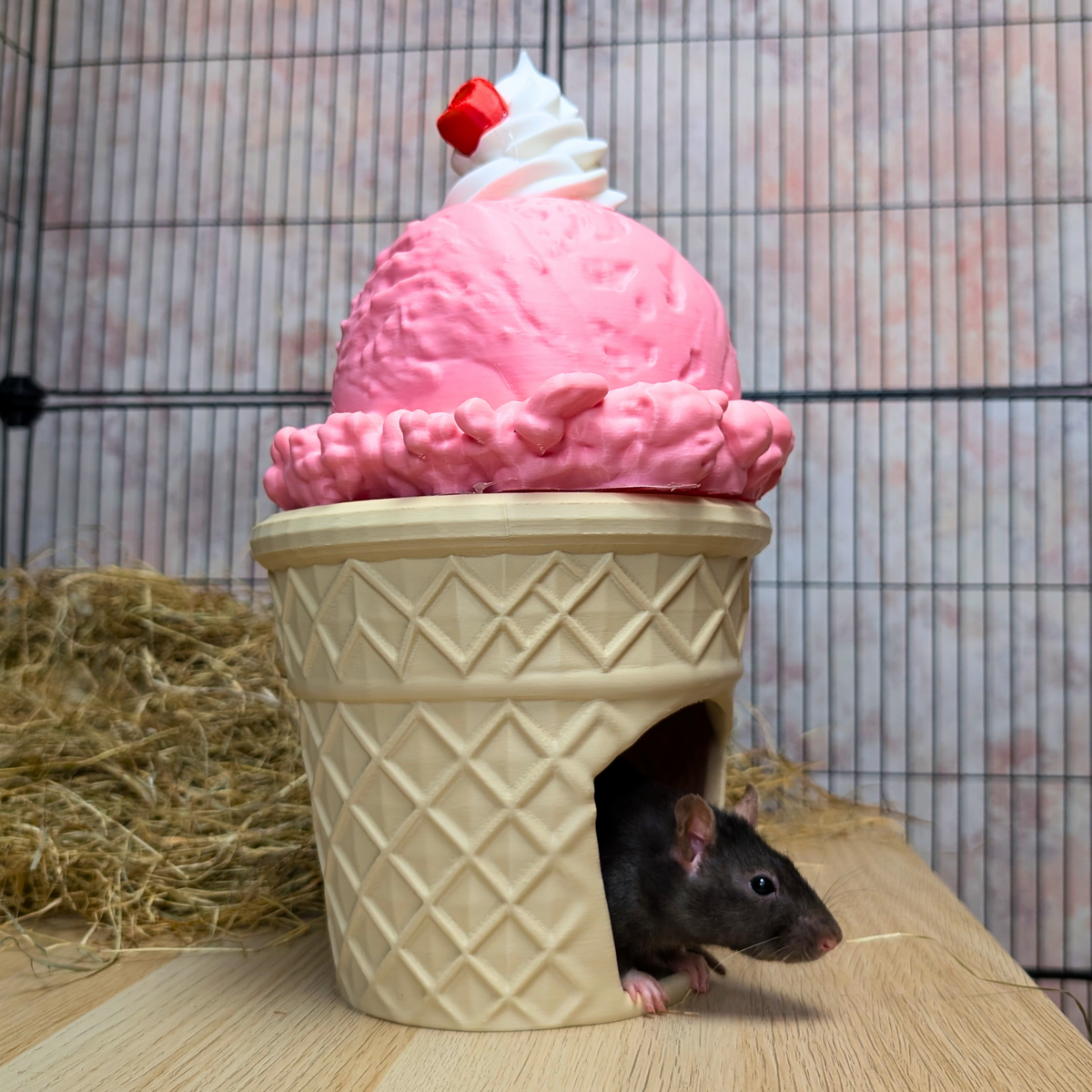 Ice Cream Cone Rat Hide styled in home setting