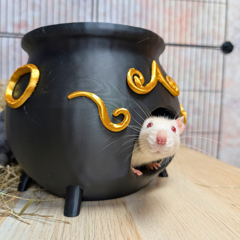 3-Piece Witch Enrichment Set displayed alongside complementary pieces