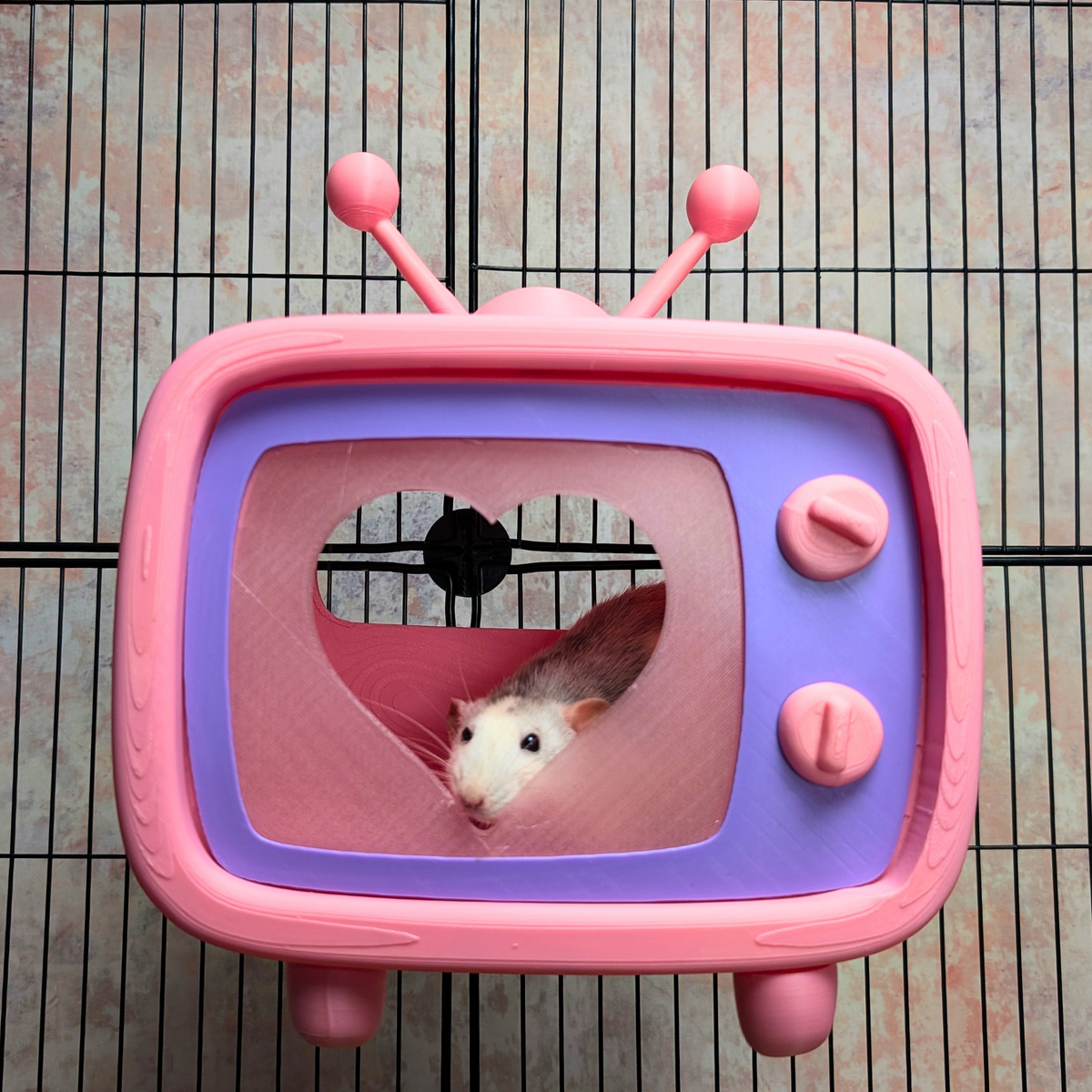 Retro TV Rat Hide size reference with hand for scale