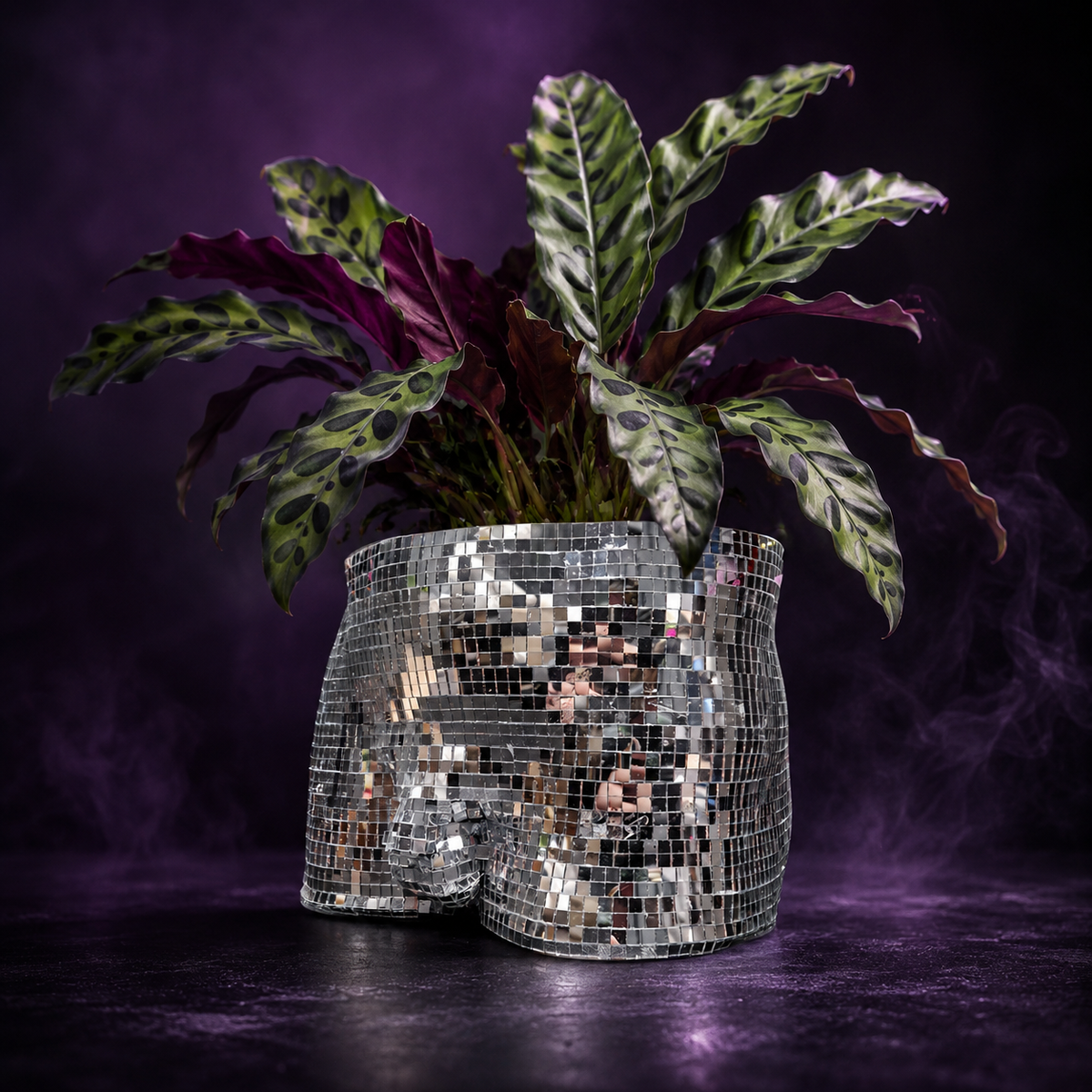 Close side view of silver disco body planter with mirror tiles and houseplant