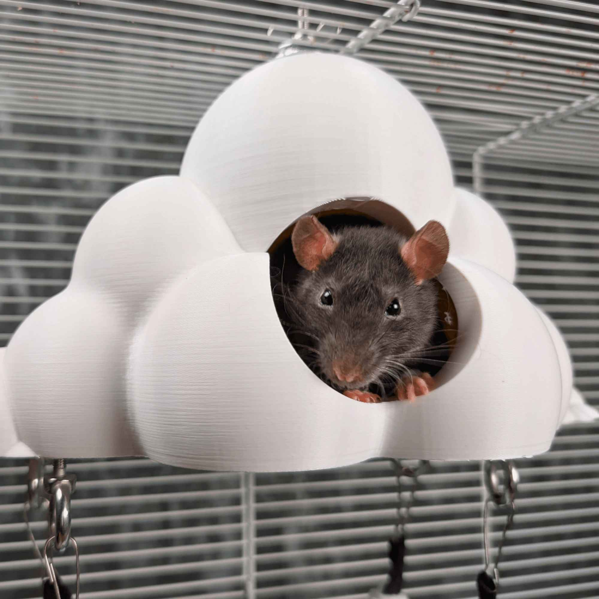 Cloud Hideaway Pet Hammock lifestyle context shot