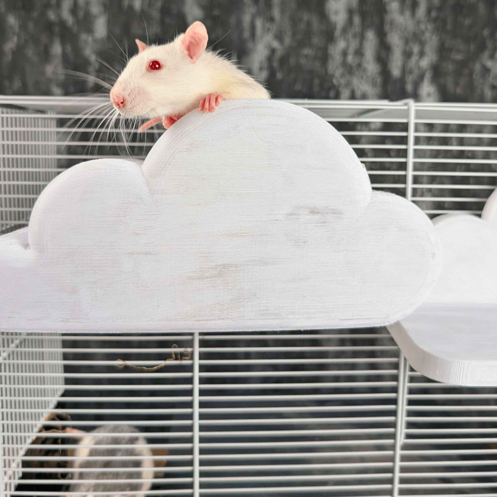 Cloud Rat Shelves & Hideaway