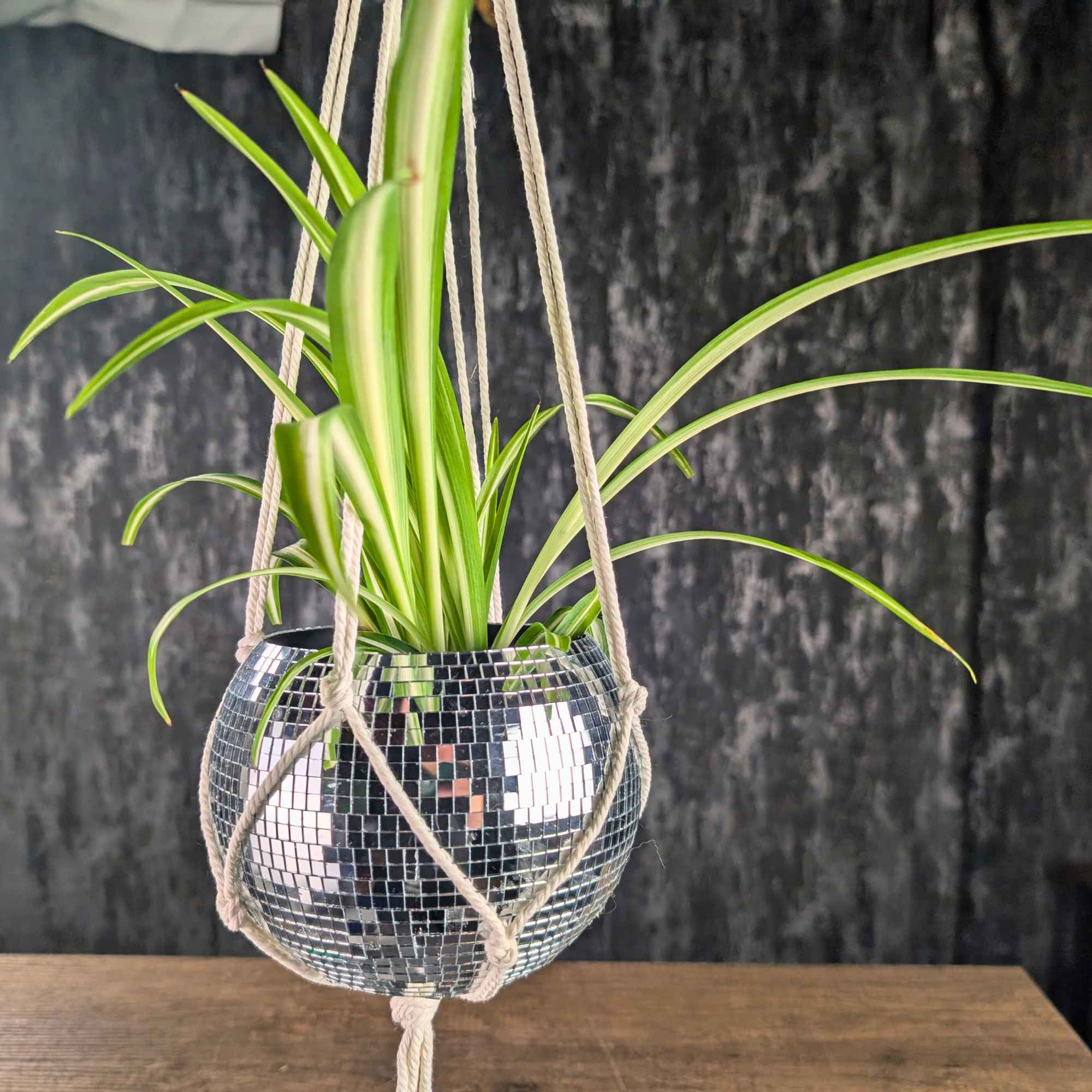 Disco Ball Hanging Planter