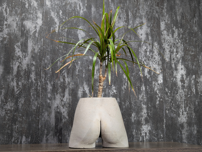 Cheeky Chic Planter