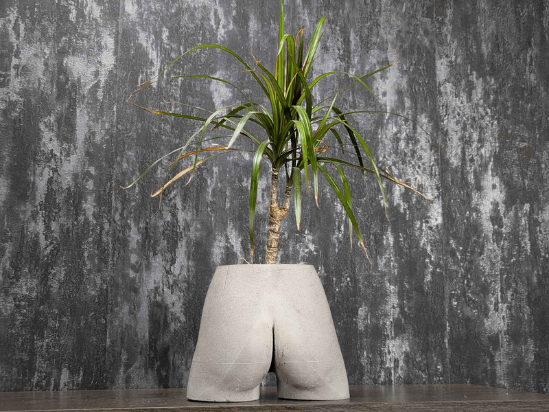 Cheeky Bum Concrete Planter