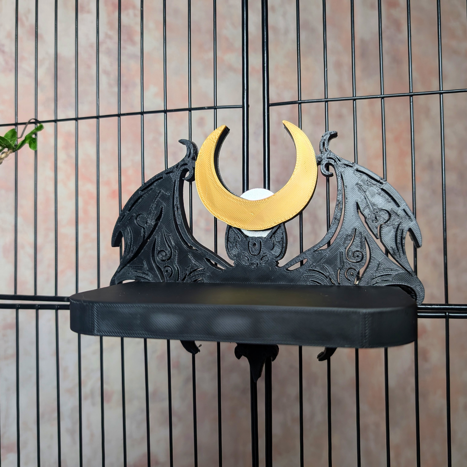 3-Piece Witch Enrichment Set lifestyle context shot