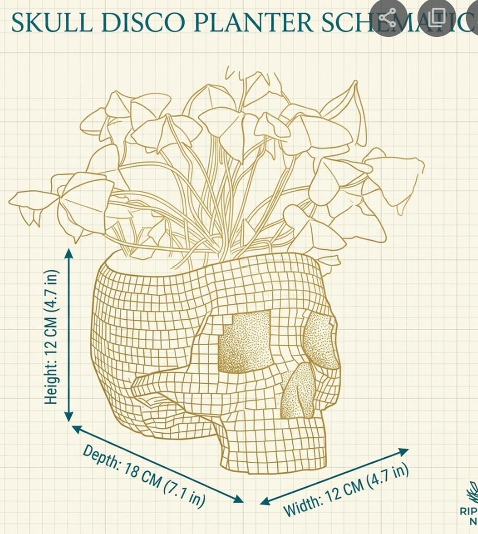 Afterglow - Disco Ball Skull Planter - second detail view | Ripleys Nest