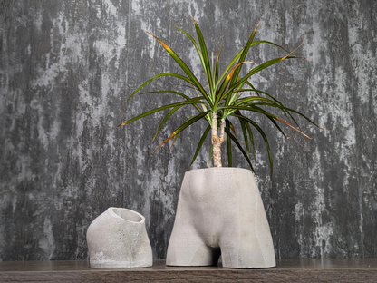 Cheeky Chic Planter