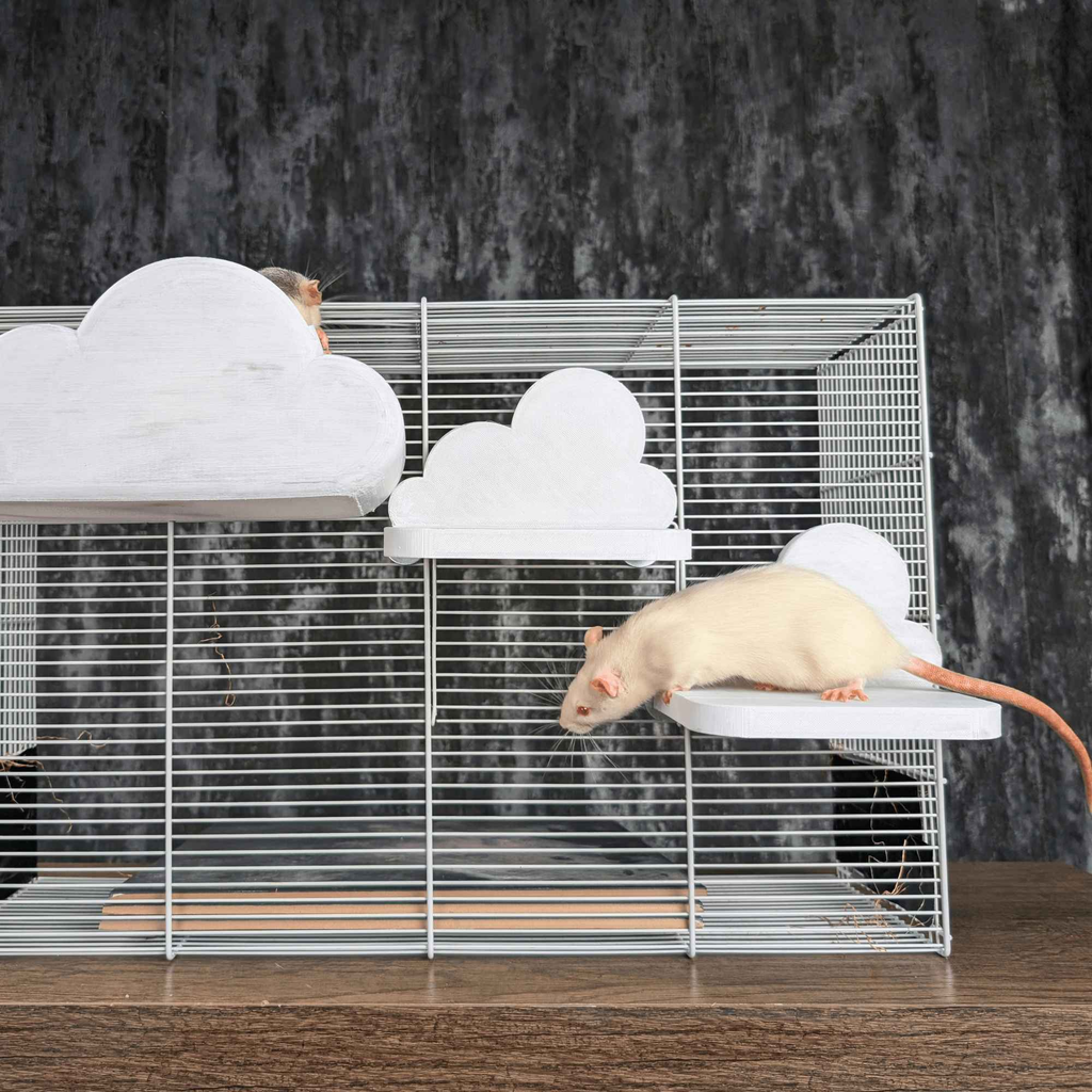 Cloud Rat Shelves & Hideaway