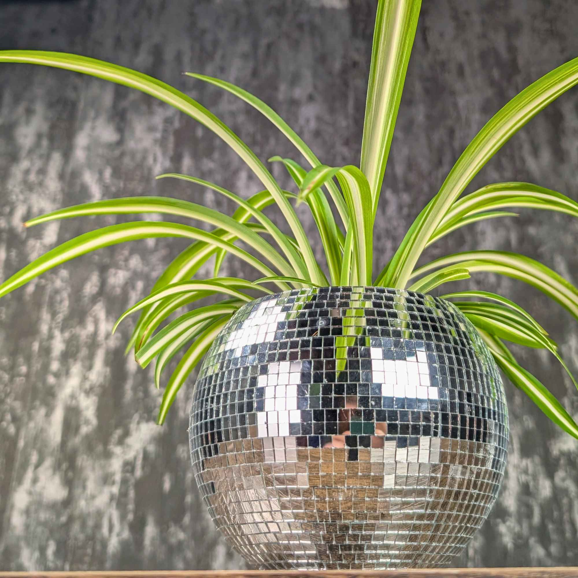 Disco Ball Hanging Planter