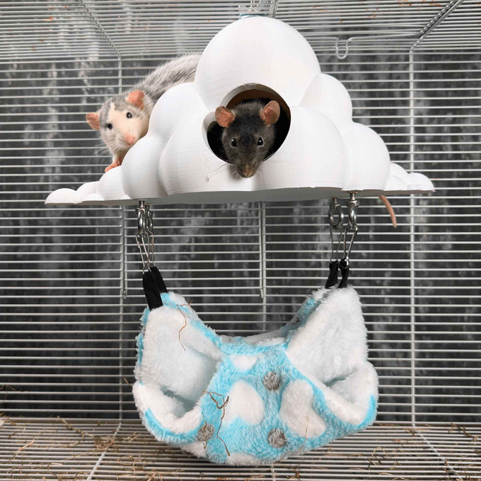 Cloud Rat Hide with Hammock