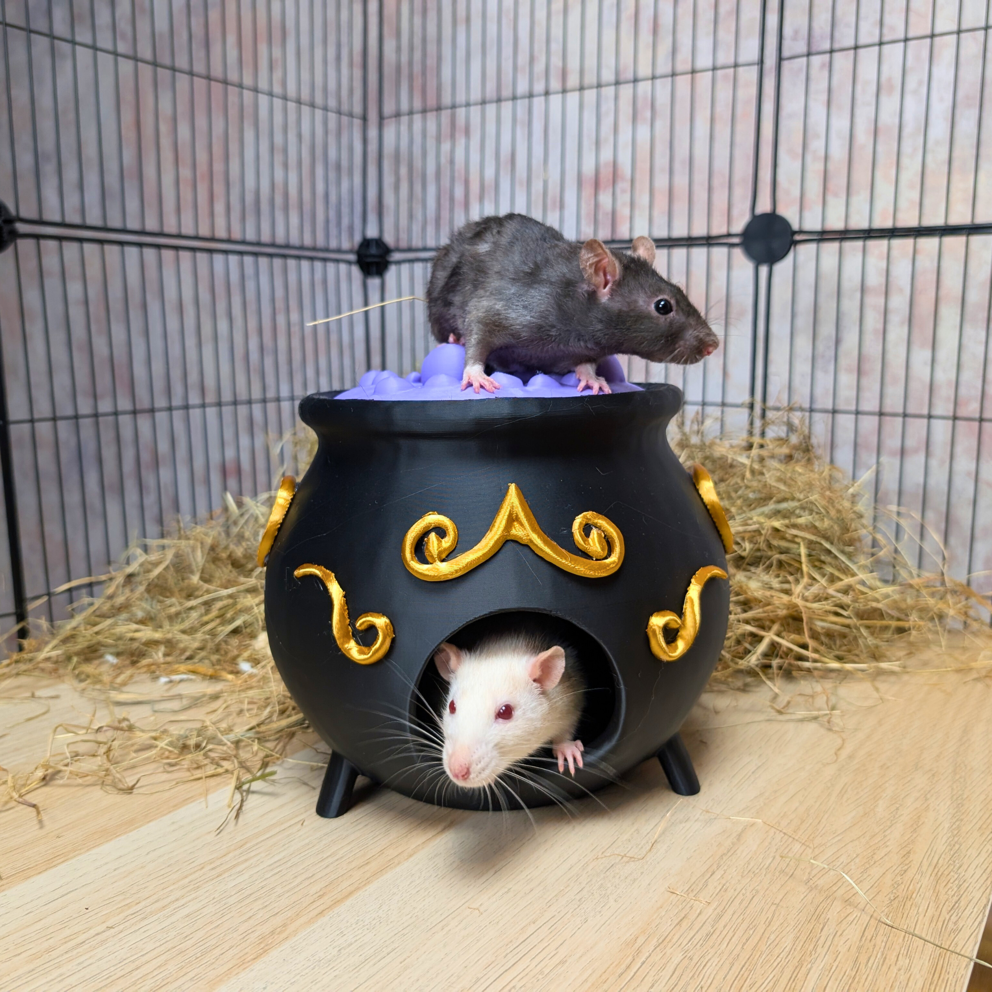 3-Piece Witch Enrichment Set