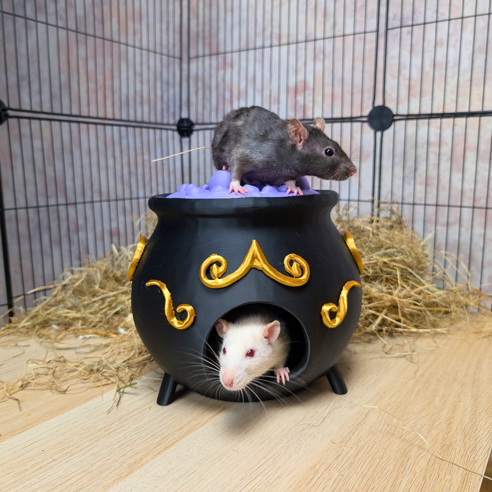 3-Piece Witch Enrichment Set additional angle showing colour accuracy