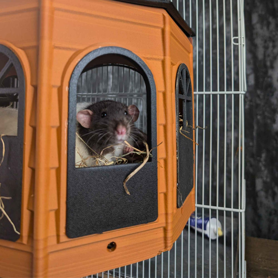 Luxury Rat Mansion Hideaway detail of variant or colour option