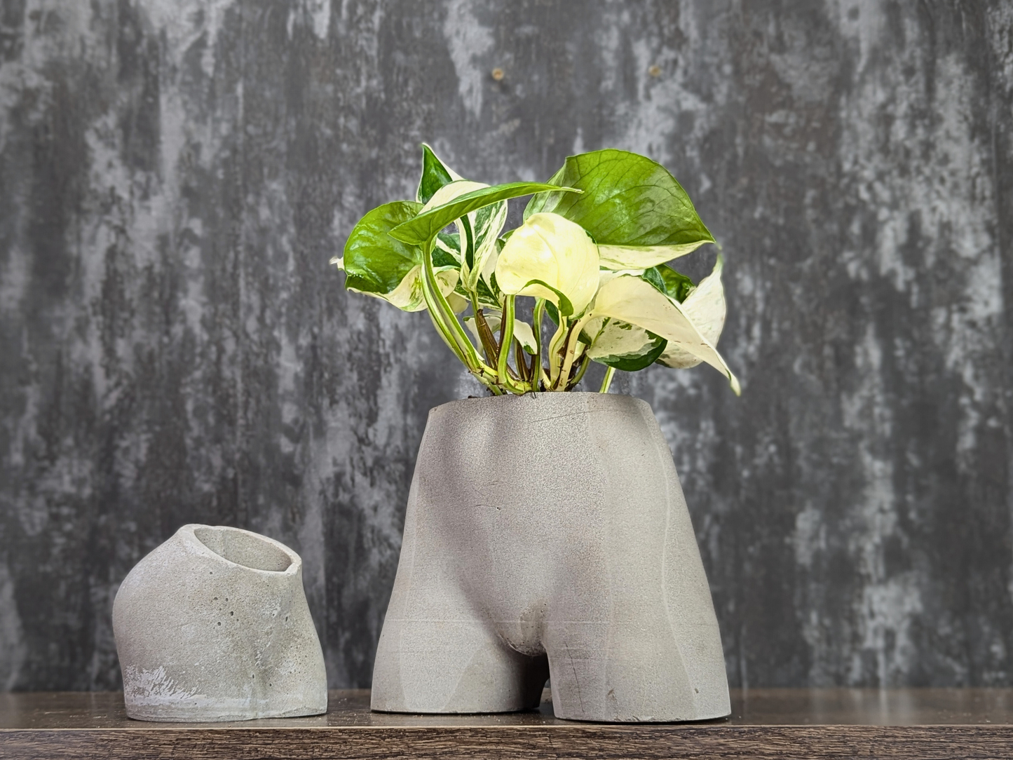 Cheeky Chic Planter