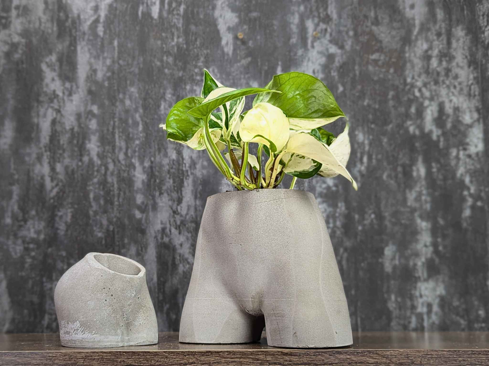 Cheeky Bum Cast Stone Planter — product shot — made in Cumbria