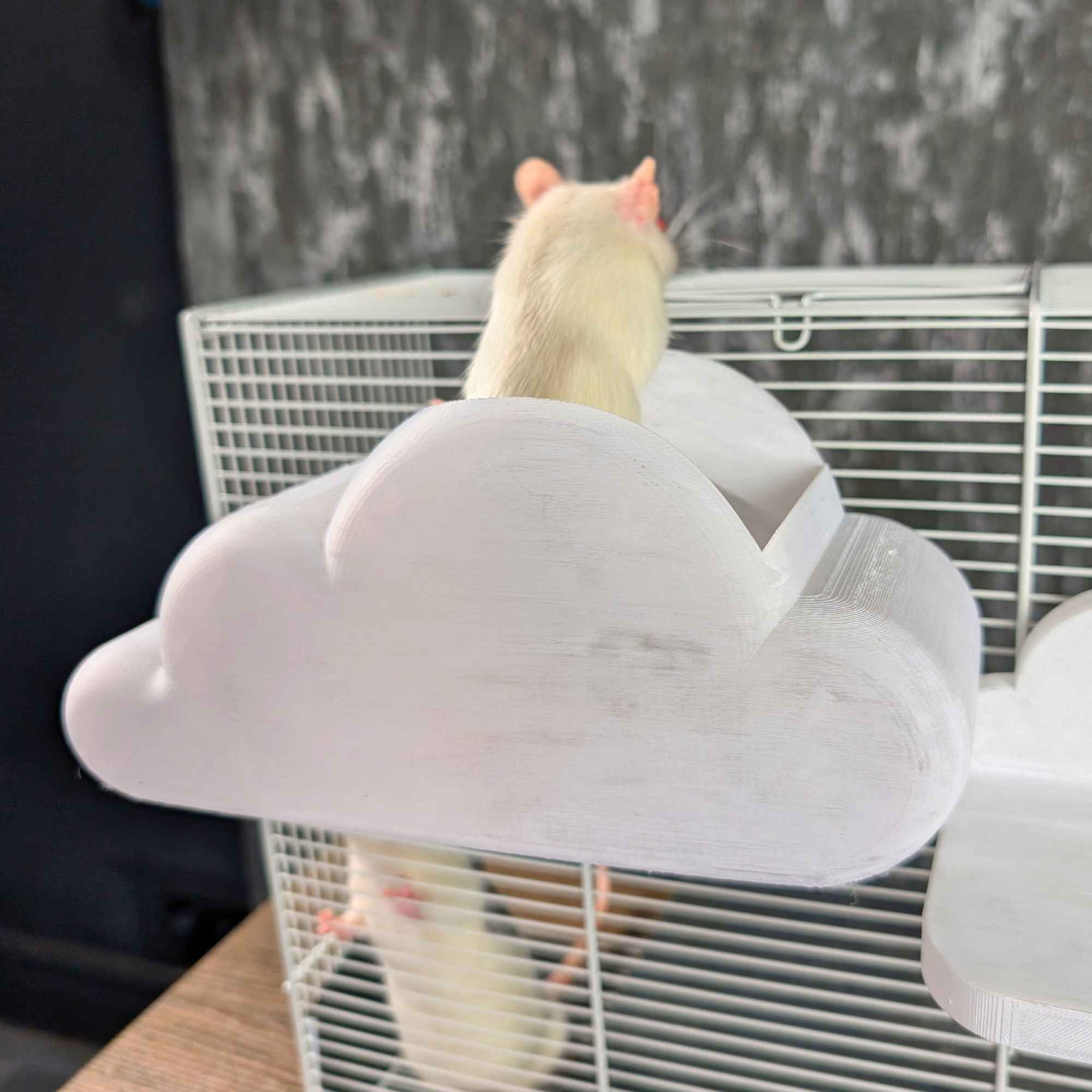 Cloud Rat Shelves & Hideaway