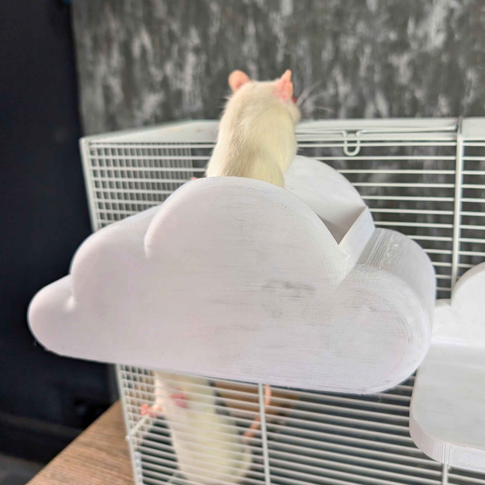 Cloud Rat Shelves & Hideaway additional angle showing colour accuracy