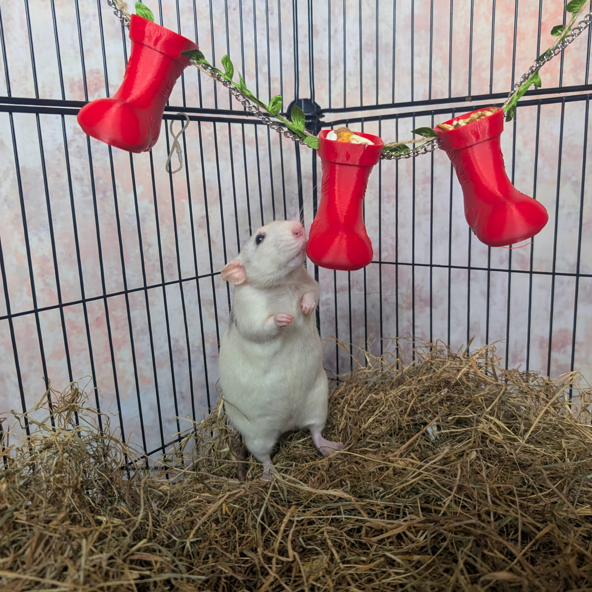 Christmas Rat Collection Set | Rat Enrichment Toy Bundle | Christmas Pet Accessories Small Animal Hide